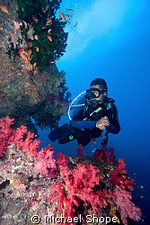 I was very lucky to be the only diver on the boat most da... by Michael Shope 